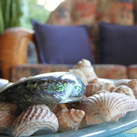 Chalet Romantica Paihia Εξωτερικό φωτογραφία