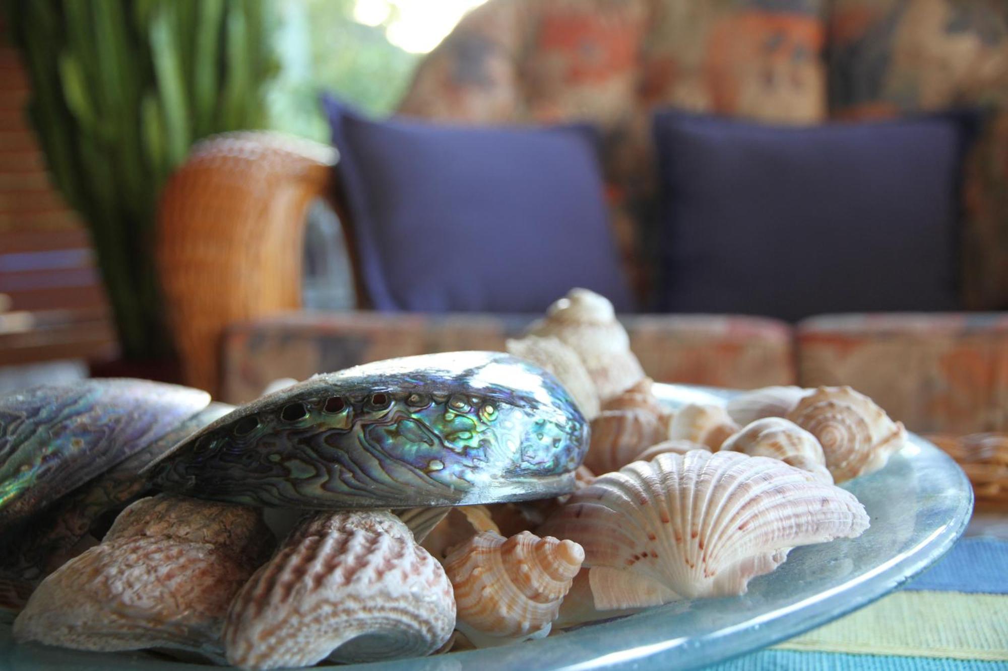 Chalet Romantica Paihia Εξωτερικό φωτογραφία