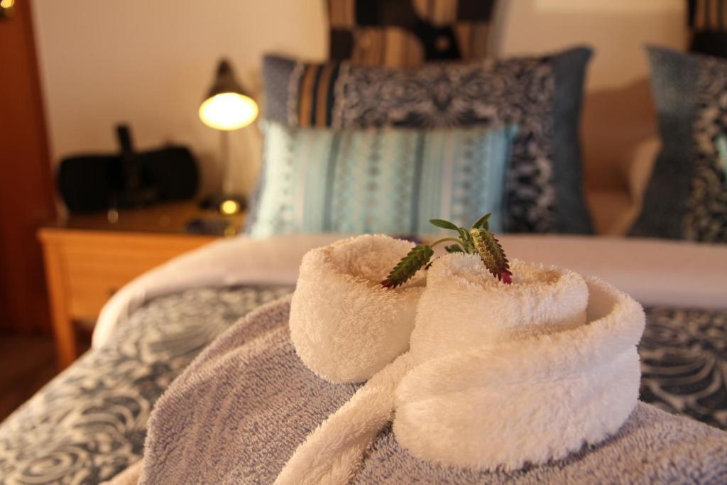 Chalet Romantica Paihia Δωμάτιο φωτογραφία